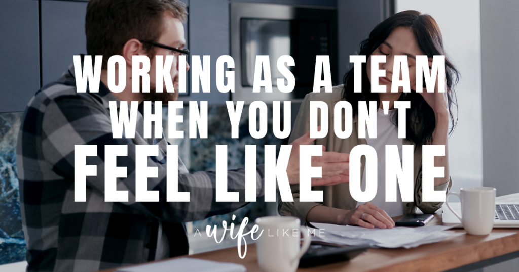 Working As A Team When You Don’t Feel Like One - Meagan Elling - A Wife ...