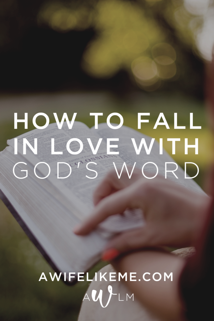 How to fall in love with God's word