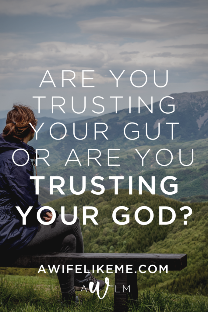 Are You Trusting Your Gut or Are You Trusting Your God?
