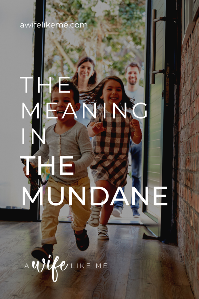 The Meaning in the Mundane