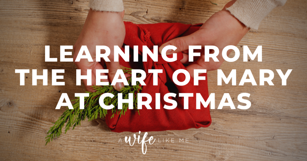Learning From the Heart of Mary at Christmas